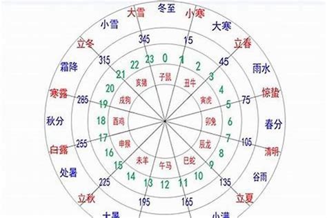 珊五行|珊字的五行属性是什么